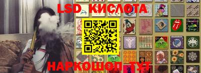 хмурый Кингисепп