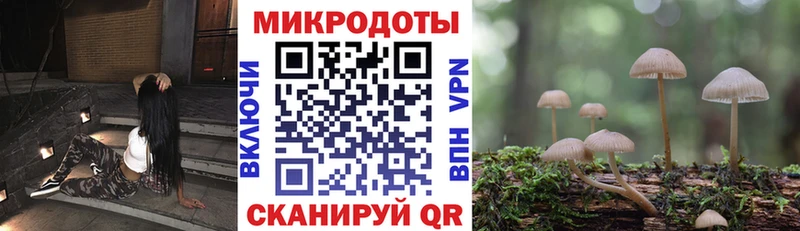 Псилоцибиновые грибы ЛСД Камышлов