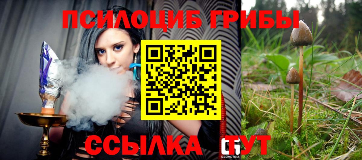 Псилоцибиновые грибы мицелий  Вход с VPN  Камышлов 